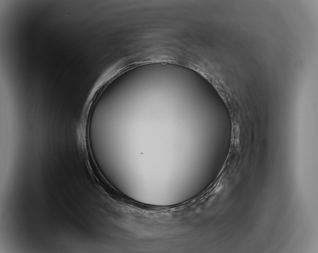X0000087710004200705111429
