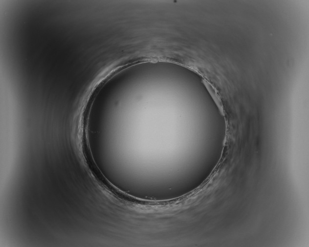 X0000087710005200705111429