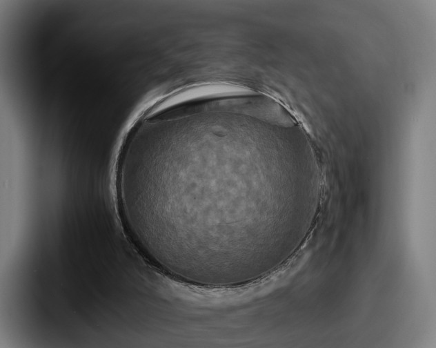 X0000087710006200705111429