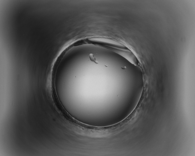 X0000087710008200705111429