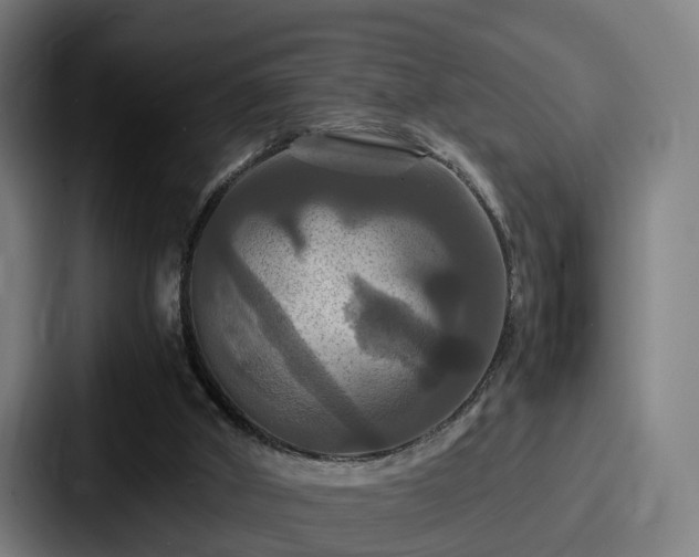 X0000087710010200705111429
