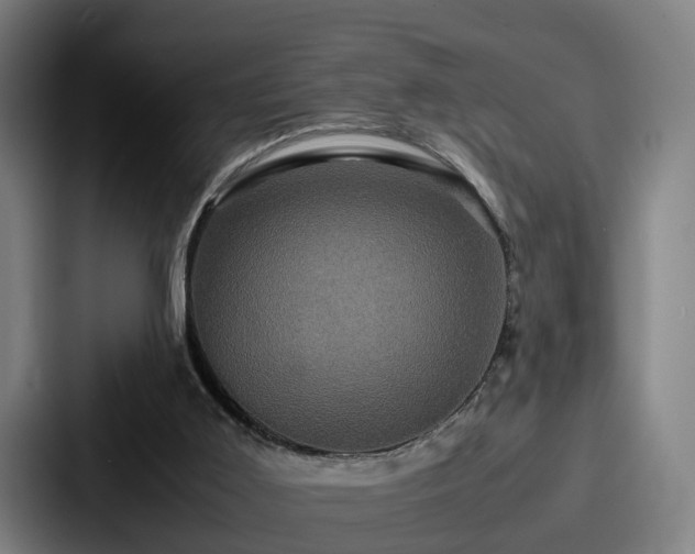 X0000087710011200705111429