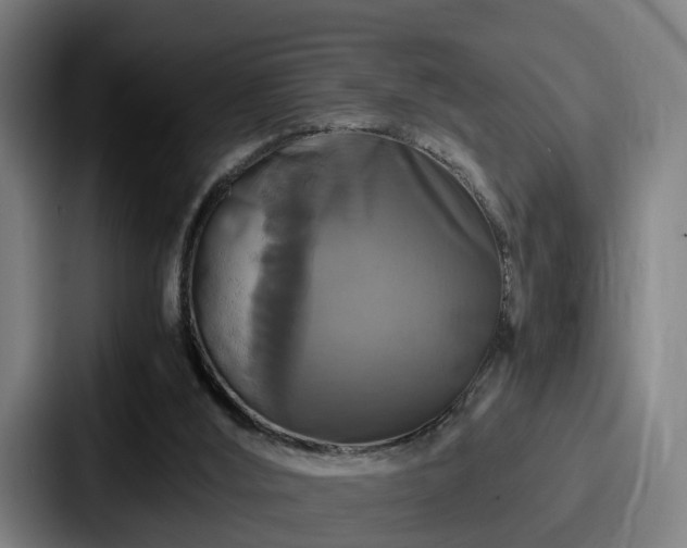 X0000087710012200705111429