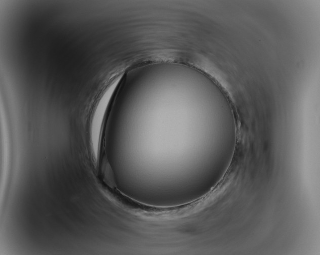 X0000087710013200705111429