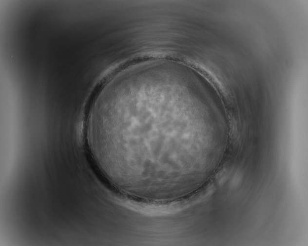 X0000087710016200705111429