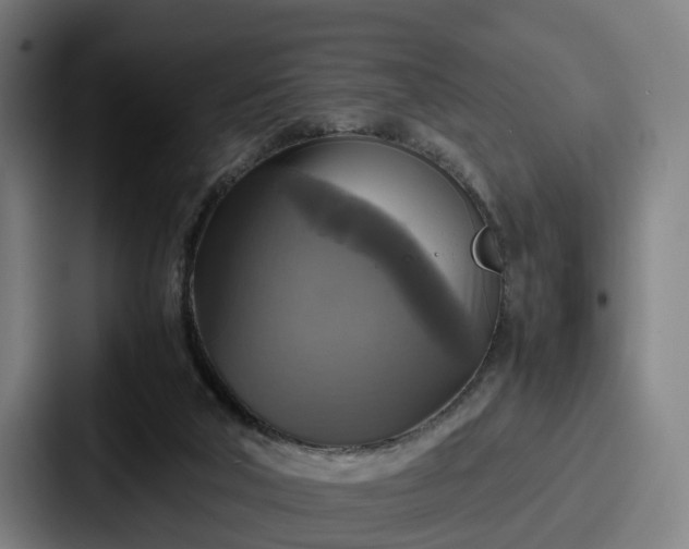 X0000087710018200705111429