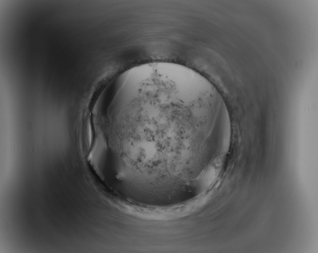 X0000087710019200705111429