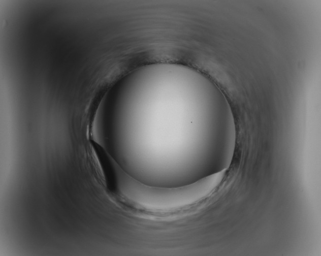 X0000087710021200705111429