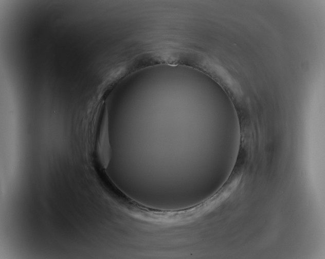 X0000087710023200705111429