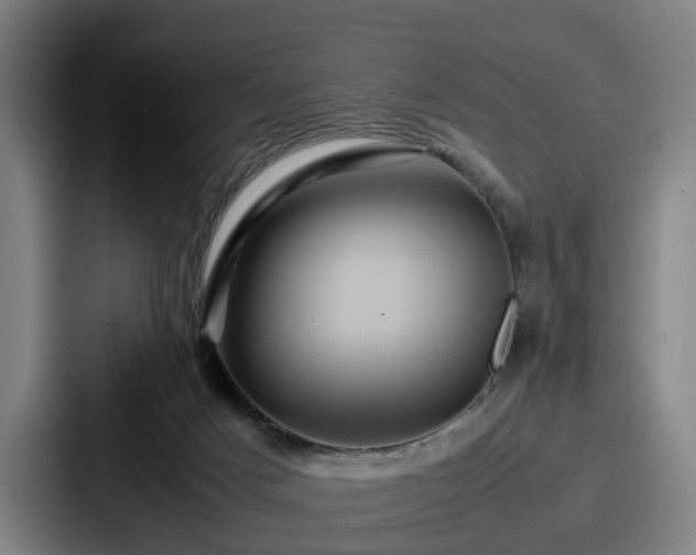 X0000087710025200705111429