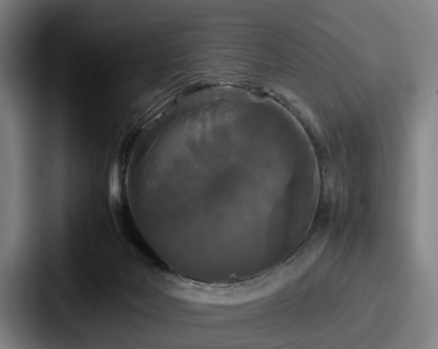 X0000087710026200705111429