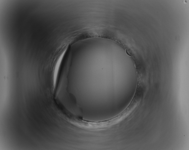 X0000087710027200705111429