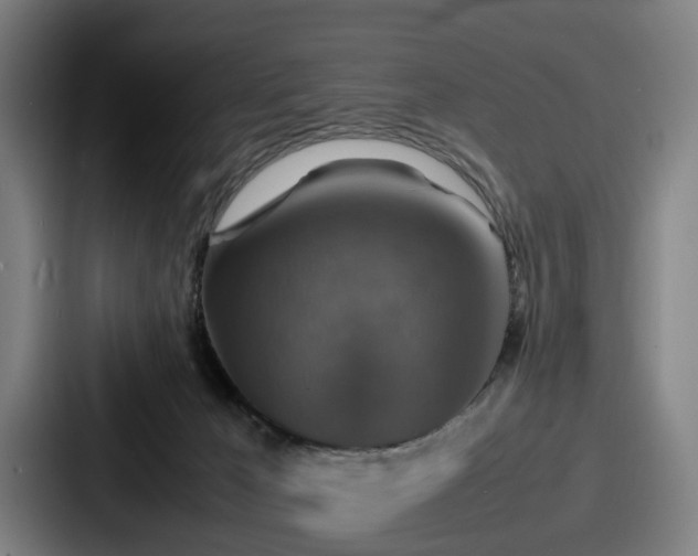 X0000087710029200705111429