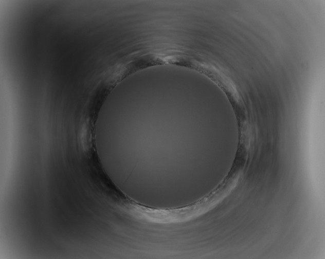 X0000087710030200705111429