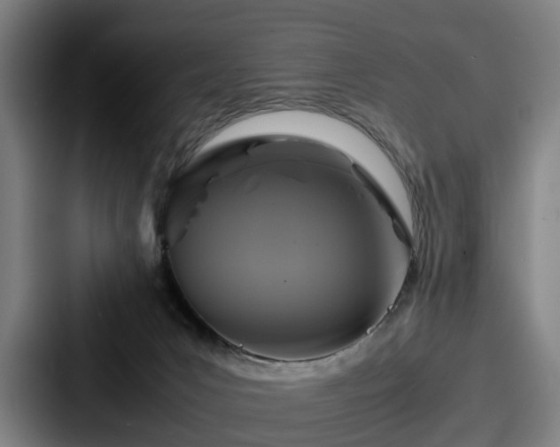 X0000087710031200705111429