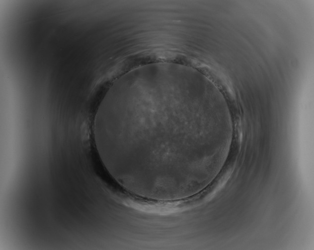 X0000087710032200705111429