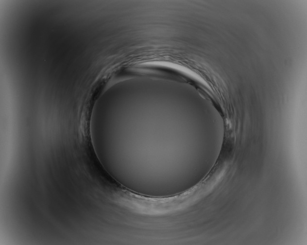 X0000087710035200705111429