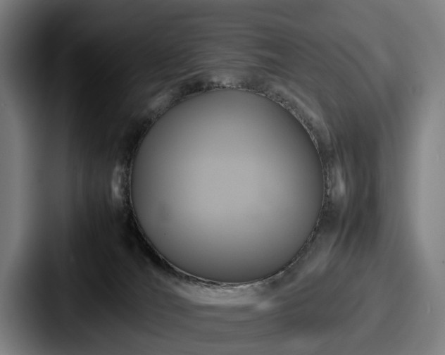 X0000087710036200705111429
