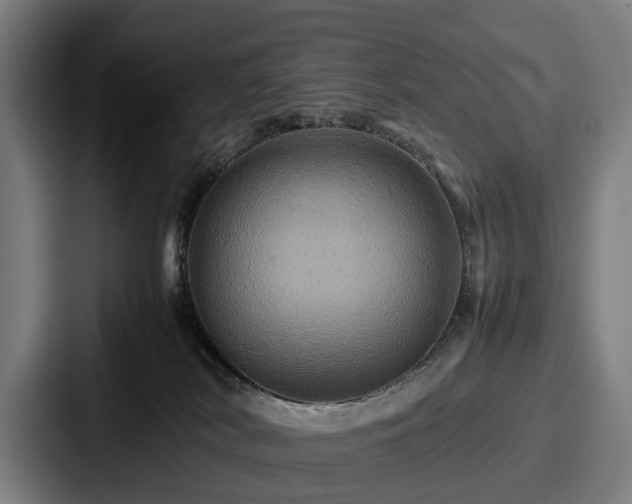 X0000087710038200705111429
