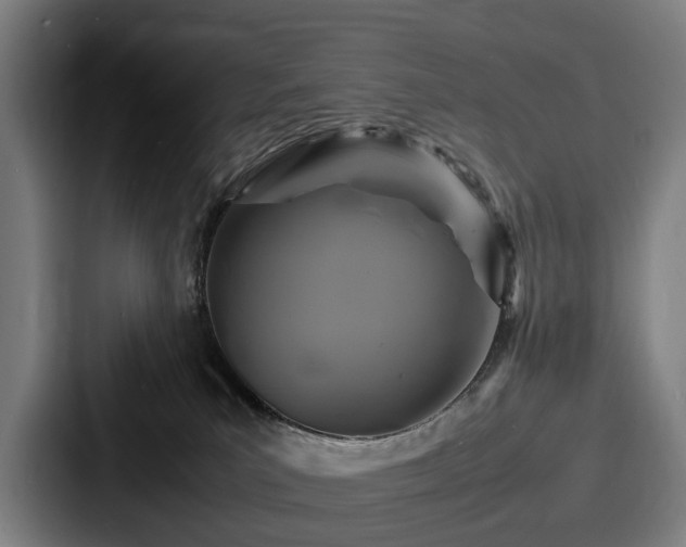 X0000087710039200705111429