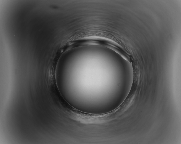 X0000087710040200705111429
