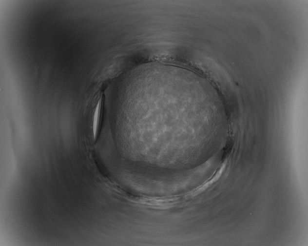 X0000087710041200705111429