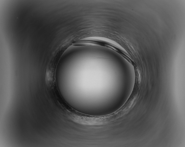 X0000087710044200705111429