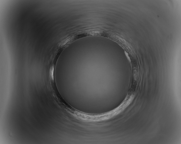 X0000087710047200705111429