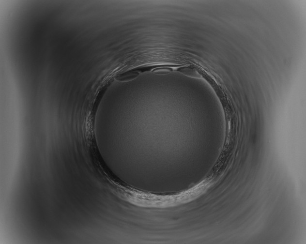 X0000087710048200705111429