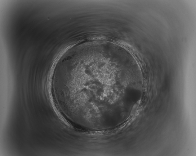 X0000087710049200705111428