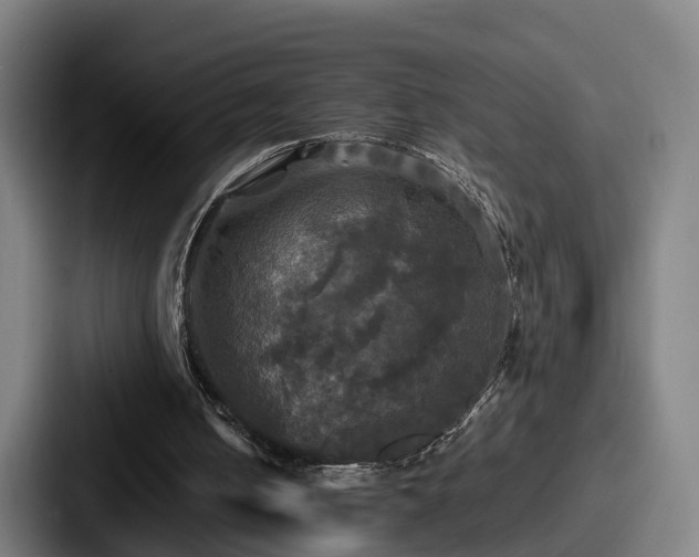X0000087710050200705111428