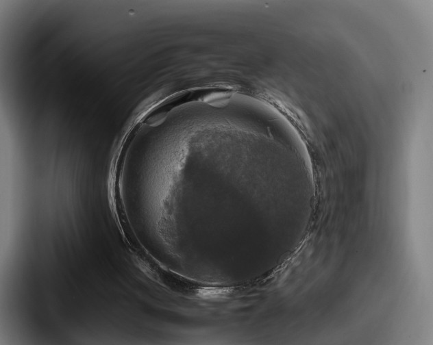 X0000087710051200705111428