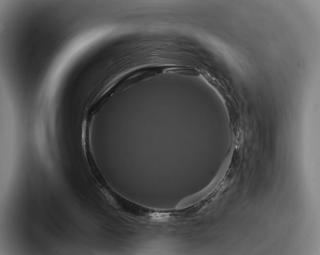 X0000087710052200705111428