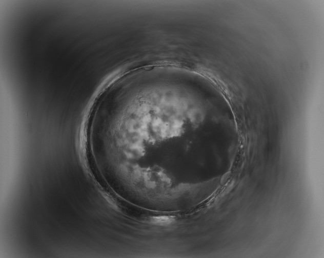 X0000087710053200705111428