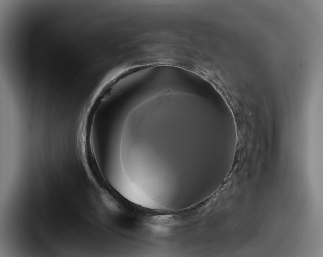 X0000087710054200705111428