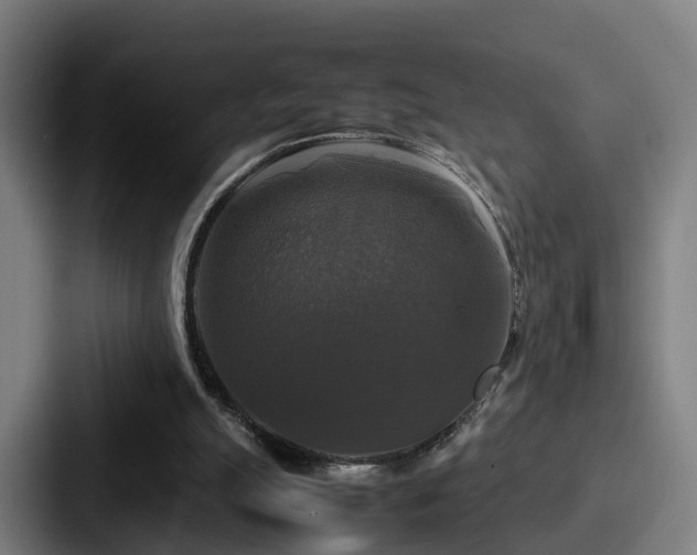 X0000087710055200705111428