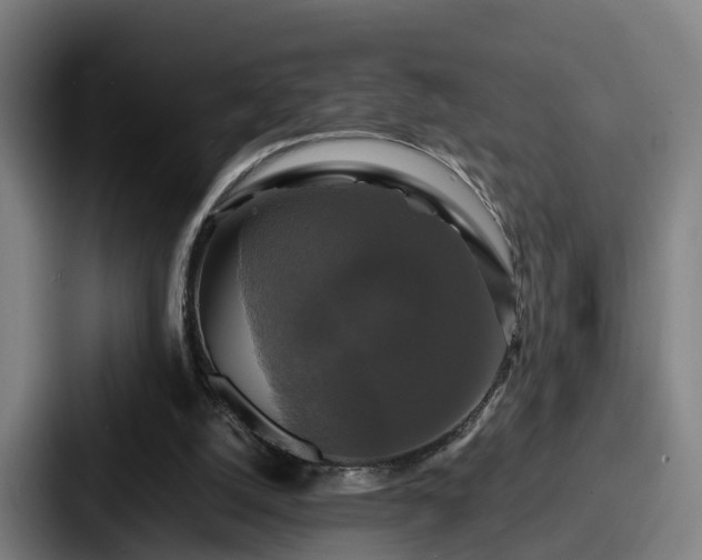 X0000087710056200705111428