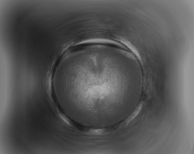 X0000087710057200705111428