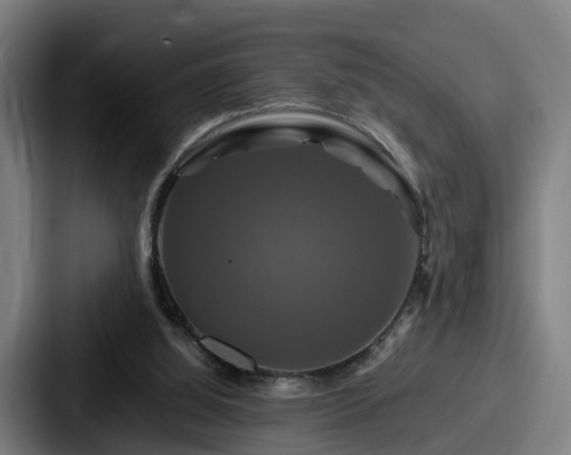 X0000087710060200705111428