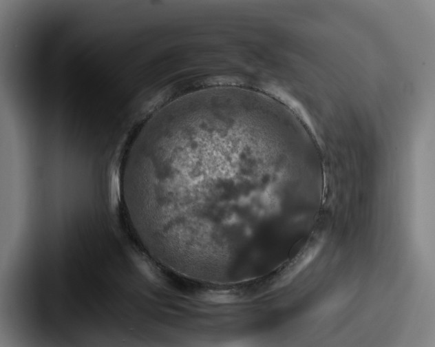 X0000087710061200705111428
