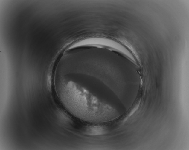 X0000087710063200705111428