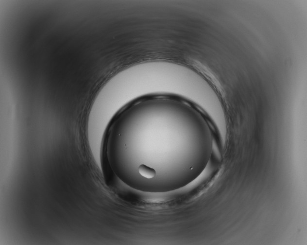 X0000087710065200705111429