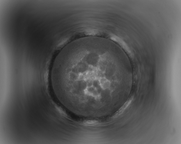 X0000087710066200705111429