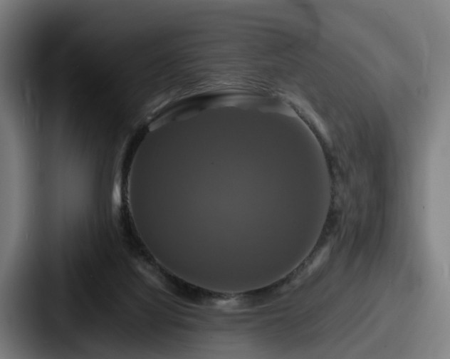 X0000087710068200705111429