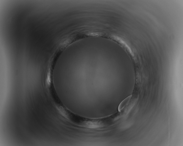 X0000087710069200705111429