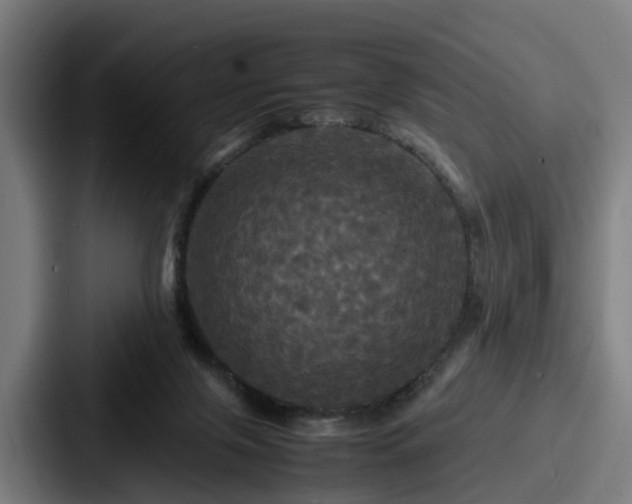 X0000087710071200705111429