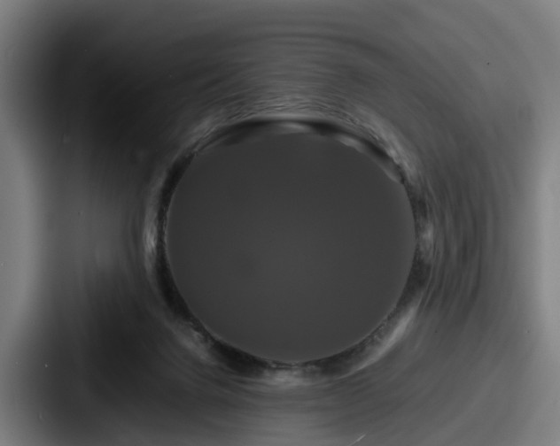 X0000087710072200705111429