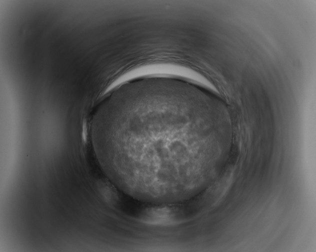 X0000087710075200705111429