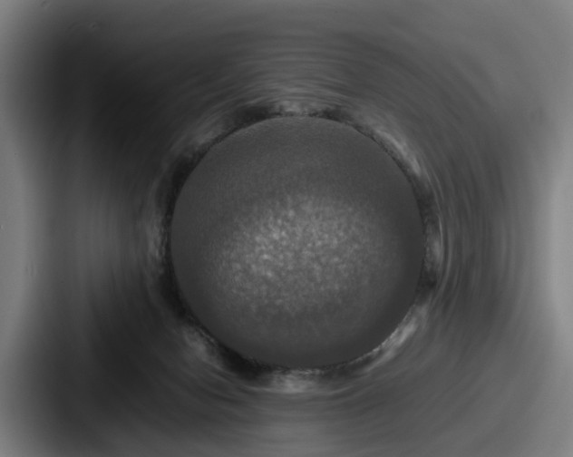 X0000087710078200705111429