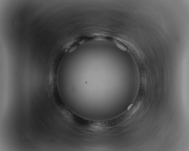 X0000087710079200705111429